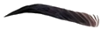 live2d_rigging_asset_sheet_6