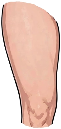 Head Asset #15