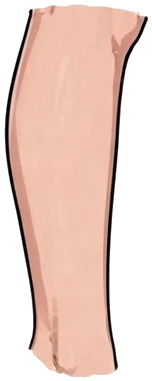 Head Asset #16