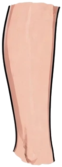 Head Asset #18
