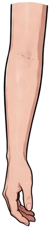 Head Asset #9